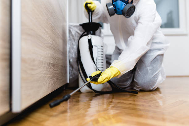 Wasp Removal Services in Killen, AL