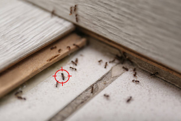 Pest Control Cost in Killen, AL