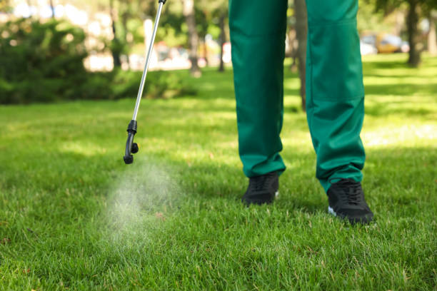 Best Bed Bug Extermination  in Killen, AL