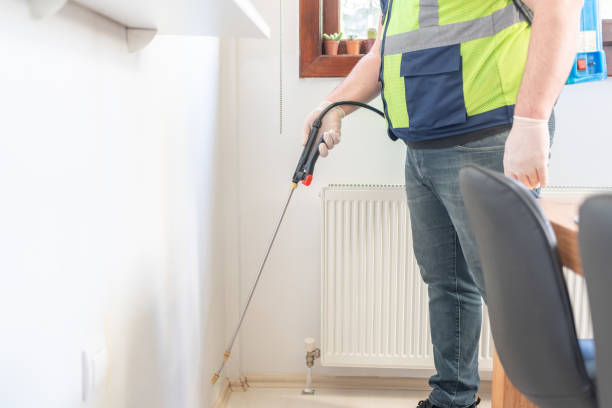 Best Affordable Pest Control Services  in Killen, AL