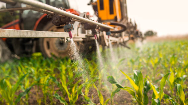 Best Mosquito Control Services  in Killen, AL